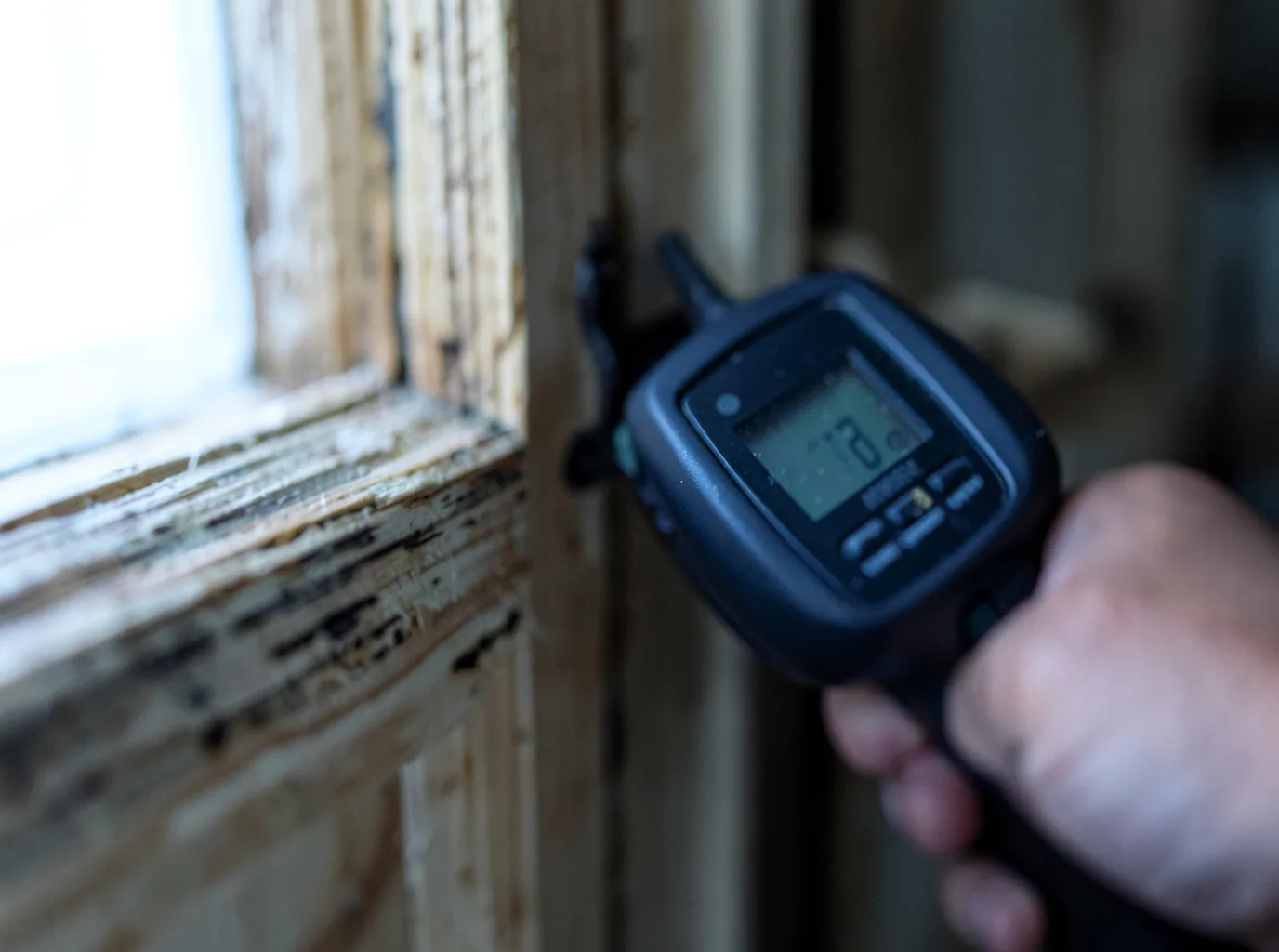 Moisture Inspection And Documentation in Saint Joe, IN
